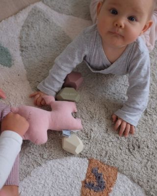 Viděli jste dnes už něco roztomilejšího? 🦄😊 Krásné úterý! ✨