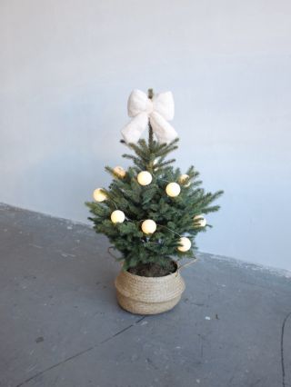 Už se jen třikrát vyspíme. 😉 Krásný čtvrtý advent přejeme! 🕯️🎄